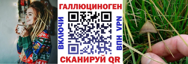 Купить закладки  Красный Кут  Галлюциногенные грибы ЛСД 
